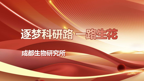 逐梦科研路?一路生花